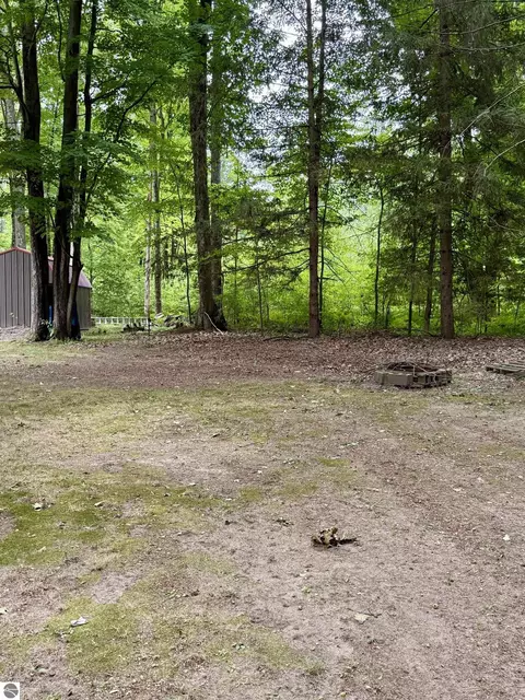 Exterior - 1949 Wolf Lake Dr, Baldwin, MI 49304 photo 4 of 4