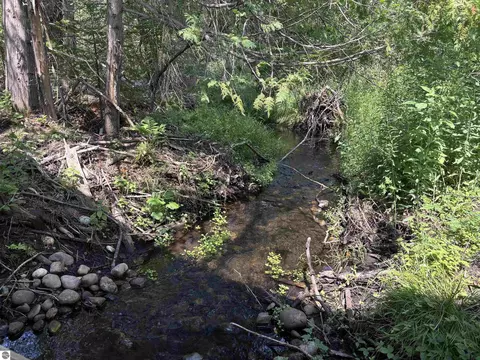 Other - 628 Badgley Rd, Vanderbilt, MI 49795 photo 23 of 28