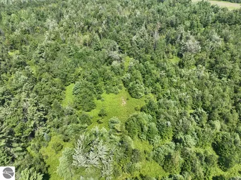 Other - 628 Badgley Rd, Vanderbilt, MI 49795 photo 14 of 28