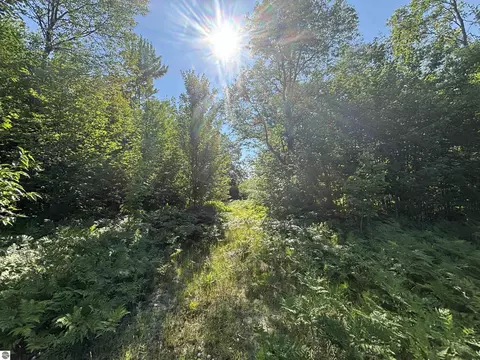 Exterior - 628 Badgley Rd, Vanderbilt, MI 49795 photo 6 of 6