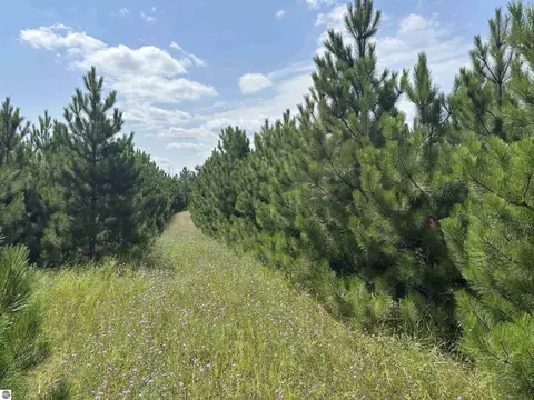 Other - 628 Badgley Rd, Vanderbilt, MI 49795 photo 21 of 28