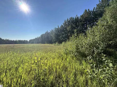Other - 628 Badgley Rd, Vanderbilt, MI 49795 photo 17 of 28
