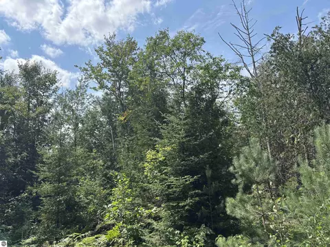 Other - 628 Badgley Rd, Vanderbilt, MI 49795 photo 22 of 28
