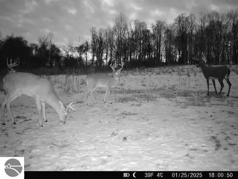 Other - 628 Badgley Rd, Vanderbilt, MI 49795 photo 18 of 28