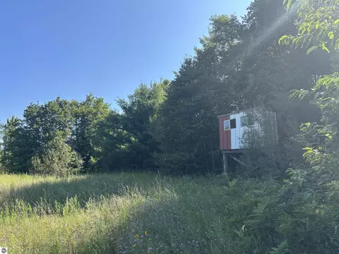Exterior - 628 Badgley Rd, Vanderbilt, MI 49795 photo 1 of 6