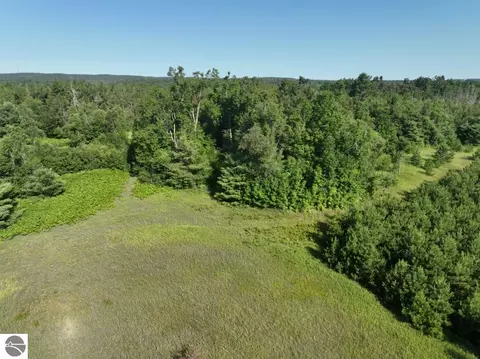 Other - 628 Badgley Rd, Vanderbilt, MI 49795 photo 12 of 28