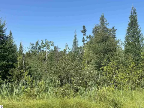 Other - 628 Badgley Rd, Vanderbilt, MI 49795 photo 24 of 28
