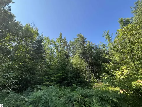 Exterior - 628 Badgley Rd, Vanderbilt, MI 49795 photo 5 of 6