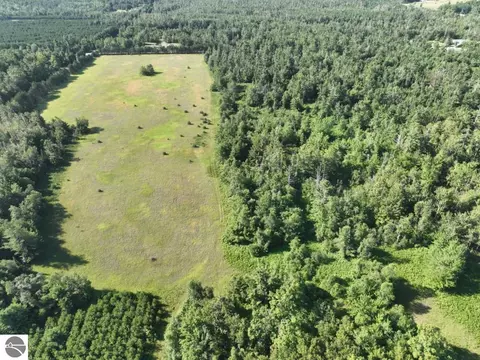 Other - 628 Badgley Rd, Vanderbilt, MI 49795 photo 10 of 28