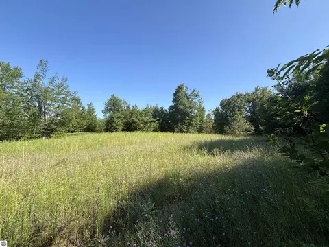 Exterior - 628 Badgley Rd, Vanderbilt, MI 49795 photo 2 of 6