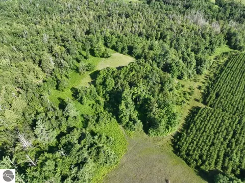 Other - 628 Badgley Rd, Vanderbilt, MI 49795 photo 8 of 28