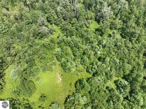 View/Area - 628 Badgley Rd, Vanderbilt, MI 49795 photo 3 of 3
