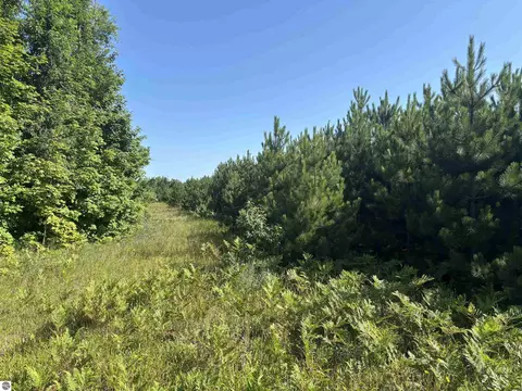 Other - 628 Badgley Rd, Vanderbilt, MI 49795 photo 19 of 28