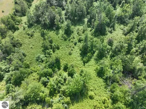 Other - 628 Badgley Rd, Vanderbilt, MI 49795 photo 15 of 28