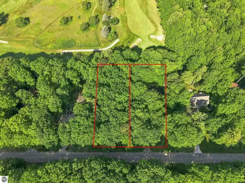 View/Area - 4864 S S Mnr, Cedar, MI 49621 photo 3 of 11