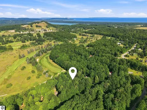 View/Area - 4864 S S Mnr, Cedar, MI 49621 photo 11 of 11