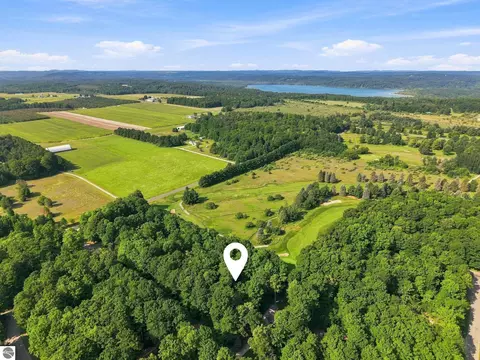 View/Area - 4864 S S Mnr, Cedar, MI 49621 photo 6 of 11