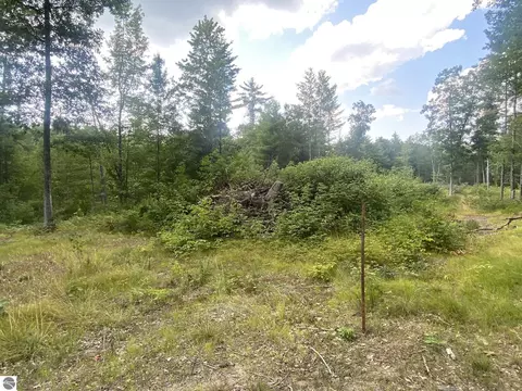 00 S Emma Ave, Baldwin, MI 49304 photo 2