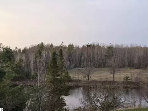 View/Area - 2639 Cedar Vly, Comins, MI 48619 photo 2 of 6