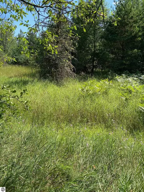 6274 SW Friendship Ln, Fife Lake, MI 49633