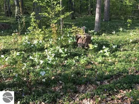 Other - 4162 Chrystal St, Interlochen, MI 49643 photo 32 of 32