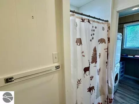 Other - 4162 Chrystal St, Interlochen, MI 49643 photo 13 of 32