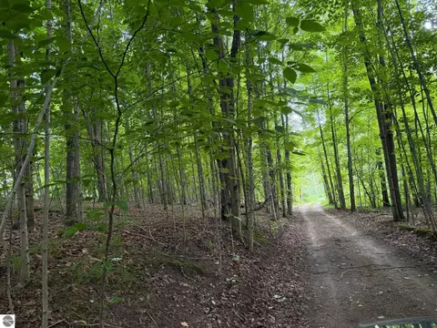 1100 Wangeman Rd, East Jordan, MI 49727