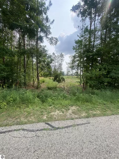 413 Maplebrooke Ln, Cadillac, MI 49601