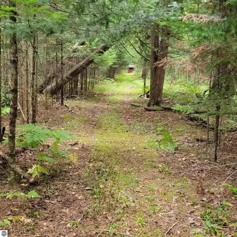 Other - 5295 Cedar Lake Rd, Gladwin, MI 48624 photo 5 of 9
