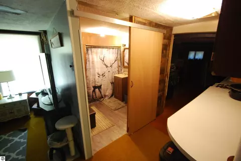 Bath - 5295 Cedar Lake Rd, Gladwin, MI 48624 photo 4 of 4