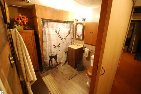 Bath - 5295 Cedar Lake Rd, Gladwin, MI 48624 photo 1 of 4