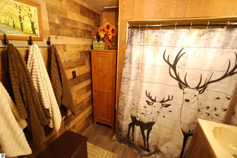 Bath - 5295 Cedar Lake Rd, Gladwin, MI 48624 photo 2 of 4