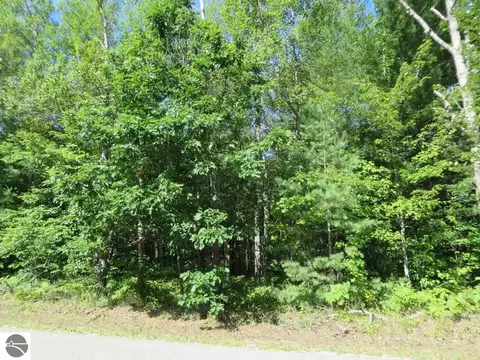 2065 E Log Lake Rd, Kalkaska, MI 49646