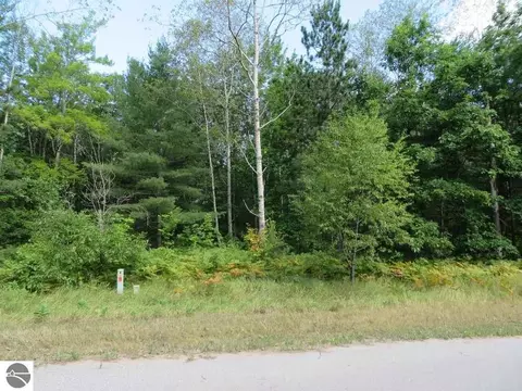2205 NE Driftwood, Kalkaska, MI 49646