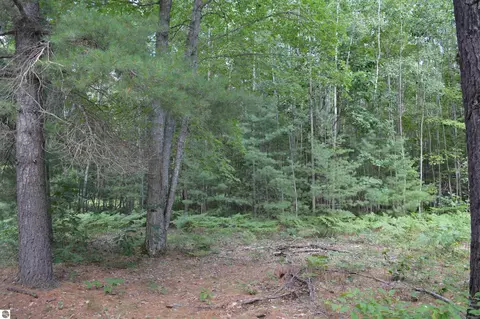 8430 NE Grass Lake Rd, Kalkaska, MI 49646