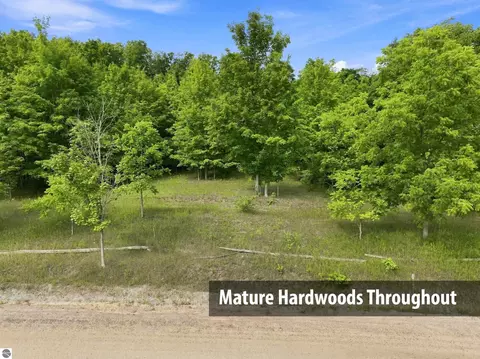 27 S 5 Acres S Hill Rd, Cedar, MI 49621 photo 10