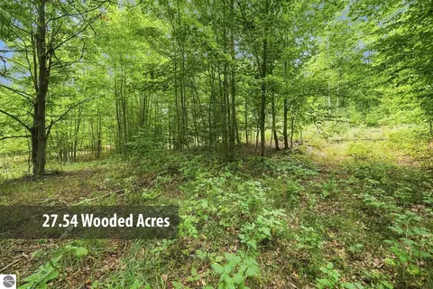27 S 5 Acres S Hill Rd, Cedar, MI 49621 photo 3