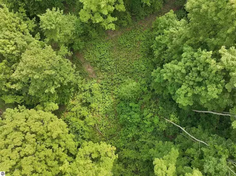 27 S 5 Acres S Hill Rd, Cedar, MI 49621 photo 18