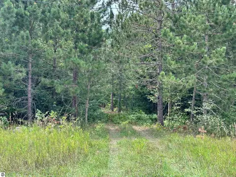 7658 Cedar River Rd, Mancelona, MI 49659