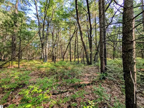 N/a Huron Breeze Drive, Au Gres, MI 48703 photo 14