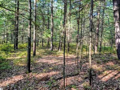 N/a Huron Breeze Drive, Au Gres, MI 48703 photo 12