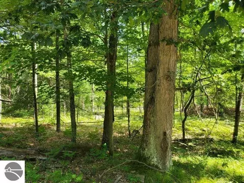 0 Turtle Lake Rd, Prescott, MI 48756