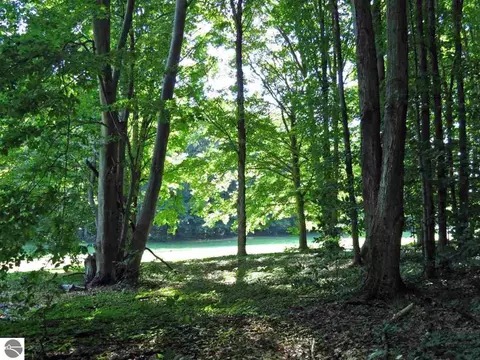 000- Unit 2 Mountain Woods Ct, Thompsonville, MI 49683