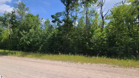 15097 Avenue D, Wolverine, MI 49799 photo 6