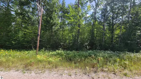 15097 Avenue D, Wolverine, MI 49799 photo 4