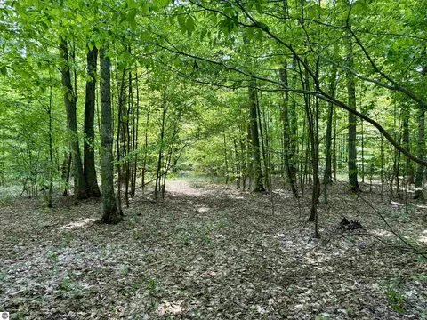 0000 S Honeybee Rd, Empire, MI 49621