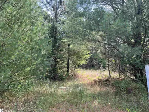 0 Cedar Lake Rd, Greenbush, MI 48738