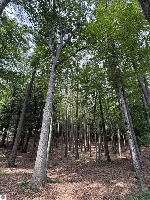 4731 Albert Courtade Rd, Traverse City, MI 49696