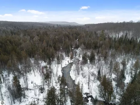 View/Area - 1133 W Thumb Lake Rd, Vanderbilt, MI 49795 photo 4 of 6
