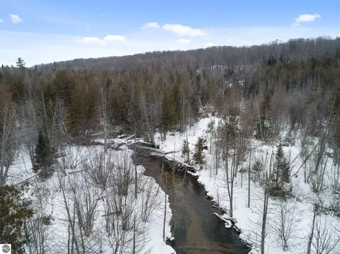 View/Area - 1133 W Thumb Lake Rd, Vanderbilt, MI 49795 photo 5 of 6